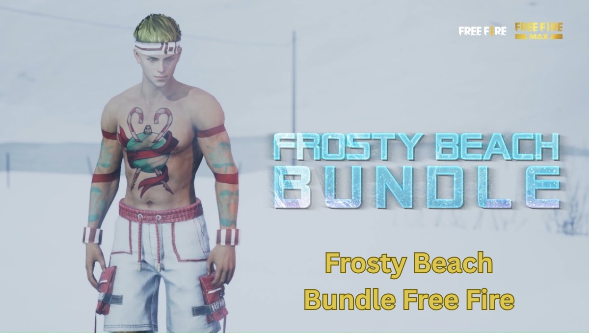 Frosty Beach Bundle Free Fire